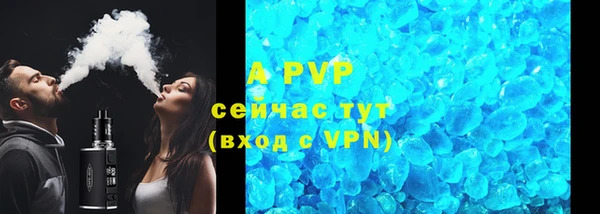 индика Лихославль