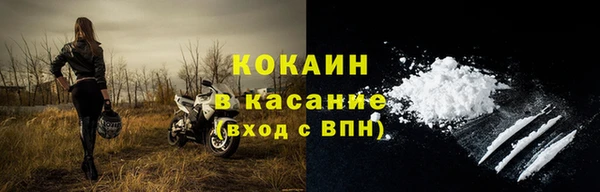 индика Лихославль