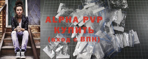 индика Лихославль