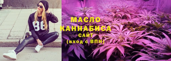индика Лихославль