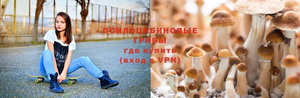 jwh Лиски